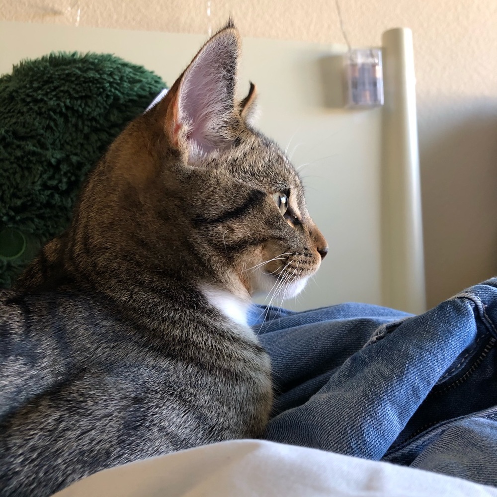 Meet your Posher, Hannah